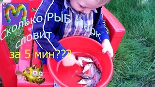 Дети ловят рыбу! Детская рыбалка!Сколько рыб поймают? kids fishing!