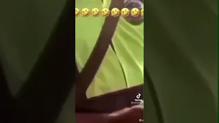 whaaaat Как решают проблемы полицеские в Дагестане 🤣🤣