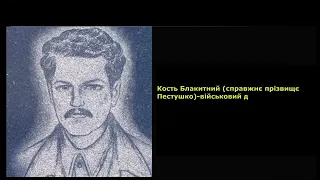 "Повстань народе мій" Тарас Житинський. Пісня козаків отамана Костя Степового.