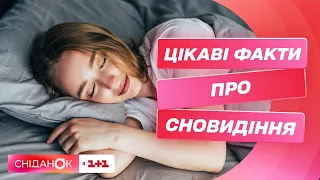 Чому ми бачимо сни і чим корисні нічні кошмари – сомнологиня Дар’я Пилипенко