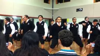 Nga Taiatea Haka