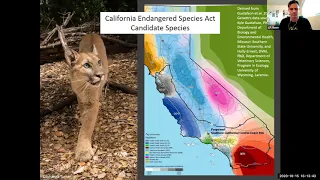 Saving Life on Earth: A Discussion of Mountain Lions and Wildlife Crossings
