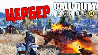 БОСС - ЦЕРБЕР! ОДИН ПРОТИВ СКВАДОВ! ➤ Call of Duty Mobile