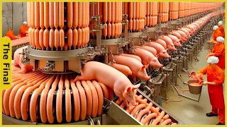 Factory Tour - Sausage Processing Factory from Millions of Pigs | Food Factory