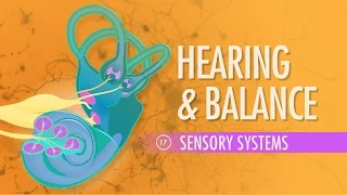 Hearing & Balance: Crash Course Anatomy & Physiology #17