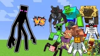 Mutant Enderman Vs Mutant Beasts and Mutant More in Minecraft