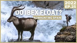 UNLUCKIEST THING EVER HAPPENED TO A BOWHUNTER 😵 IBEX BOWHUNTING SPAIN 💥 4 SPECIES [2022 EP.25]