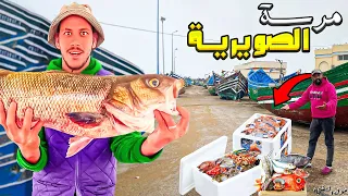 مول الشفنجة يوم كامل في مرسة الصويرية 🦈 انا وصديقي lhjaouj وطبخ السمك السعادة...😲