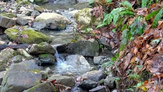 Clear Sound Of A Mountain Stream. Sounds of Running Water Calms and Relaxes!