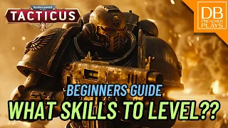 Beginners Guide Part 4: Which Skills should you level??
