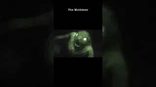 The Mothman: A Harbinger of Doom