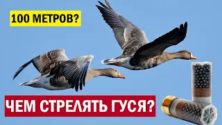 💥 ПРАВИЛЬНЫЕ ПАТРОНЫ НА ГУСЯ.