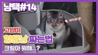 냥택 ) 14 고양이 항문낭 짜는 법! 어렵지 않아요~ 간단하고 쉽다! (feat.고막주의)