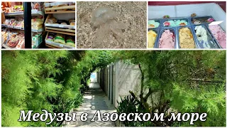 Украли миску 😱 Магазины  о. Бирючий . Так жить не возможно (((((  Медузы в Азовском море 🌊🌊🌊