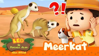 MEERKATS kehilangan RUMAH mereka?! 😱🏠 | Meerkat | Leo Si Penjaga Alam | Kartun Anak | Hewan