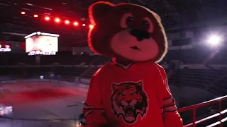 MascotsMania KHL / Dance Battle / Barkhat