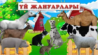 ҮЙ ЖАНУАРЛАРЫ. ЖЫЛҚЫ. СИЫР. ТҮЙЕ. ҚОЙ. ЕШКІ. ҚОЯН. ИТ. МЫСЫҚ. ШОШҚА.