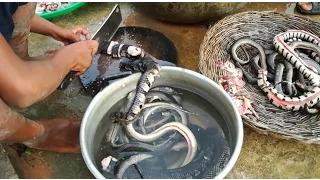 Amazing 2 Children Cook Snake For Dinner - How to Cook Snake in Cambodia