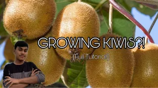 GROWING KIWIS?!🥝✨🌿S:1, Ep.27//Ultimate Gardening