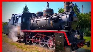 Steam Steam Train in Action - Mocanita Sovata - Steam  Locomotive Train in Action