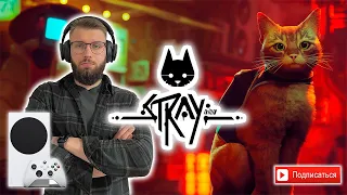 STRAY НА XBOX SERIES S | 1080p 60 FPS | НАКОНЕЦ-ТО!