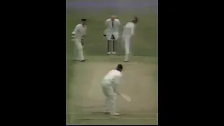 Dennis lillee bowling quick vs England 1975 test