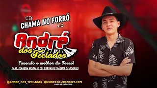 André dos Teclados - CD Chama no Forró 1.0 feat Flaguim Moral & Edi Carvalho (Página de Jornal)