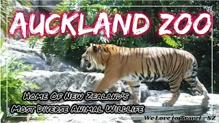 Auckland Zoo | Home Of New Zealand's Most Diverse Animal Wildlife | Travel Vlog | New Zealand