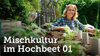 Teil 1 | Maximaler Ertrag: Pflanzbeispiel für Mischkultur im Hochbeet! 🌱🌼