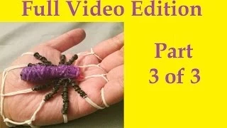 How to Make a Spider Bracelet: No Rainbow Loom Needed (Full VIDEO) Part 3 or 3