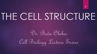 CELL STRUCTURE & FUNCTIONS OF CELLULAR ORGANELLES