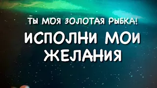 Ты моя золотая Рыбка, исполни мои желания🔮💬🐠