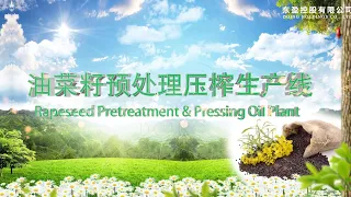 2023 Rapeseed Oil Production Line 3D Video cooking oil making machine for home