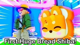 Worlds first HUGE BREAD SHIBA!!! | Pet simulator X