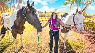 TODOS MEUS AMIGOS TEM CAVALO MENOS EU! VOU ALUGAR UM CAVALO