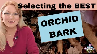 The Perfect Bark for Orchids (Tips to Choose the Right One)