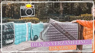 DEKJES VERZAMELING!! + o.a. ESKADRON! || Paardzoektbaas