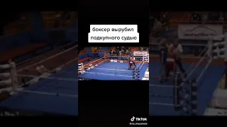 Боксёр вырубил подкупного судью.