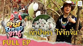 Super rare Bizarre food from jungle, Khonkaen Thailand