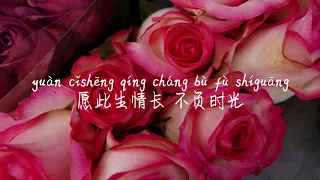 【不负-汪苏泷】BU FU-WANG SU LONG(SILENCE WANG)/ TIKTOK,抖音,틱톡/Pinyin Lyrics, 拼音歌词, 병음가사/No AD, 无广告,광고없음