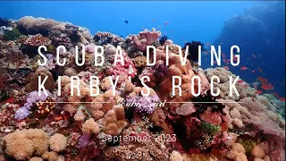 Why Scuba Diving Kirby's Rock in Anilao, Batangas, is a Must