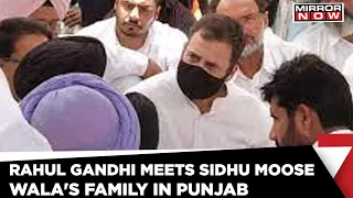 Rahul Gandhi meets Sidhu Moose Wala's family in Punjab | Latest News | Mirror Now