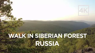 Walking tour around Siberian forest nature preserve Stolby (Krasnoyarsk, Russia) [4k]