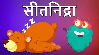 हाइबरनेशन | सीतनिद्रा | Hibernation In Hindi | Dr.Binocs Show | Educational Videos |Binocs Ki Duniya