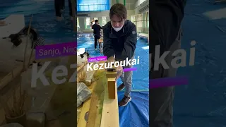 Mini Kezuroukai in Sanjo, Niigata - Japanese Plane Competition #shorts