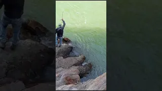 pescando 🐠🎣🐠 en el embalse de hidroituango río cauca