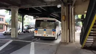 Bee-Line Bus : Neoplan AN460 #540 on the 4 at Woodlawn Station