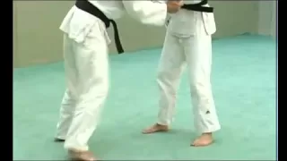 Judo techniques debout et au sol