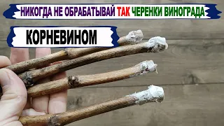 🍇 Даже не пытайся ТАК ПРИМЕНЯТЬ КОРНЕВИН на винограде. Как не ОШИБИТЬСЯ при укоренении черенков?