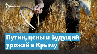 Путин, цены и будущий урожай в Крыму | Крымский вечер